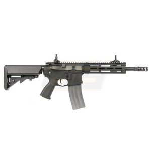 CM16 Raider 2.0 Black (G&G)