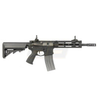 CM16 Raider 2.0 Black (G&G)