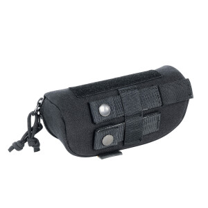 Tasmanian Tiger Eyewear Safe, black