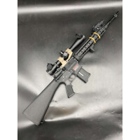 Airsofter One of One MK12 MOD 1 SPR QR 1.0 EGV E&C